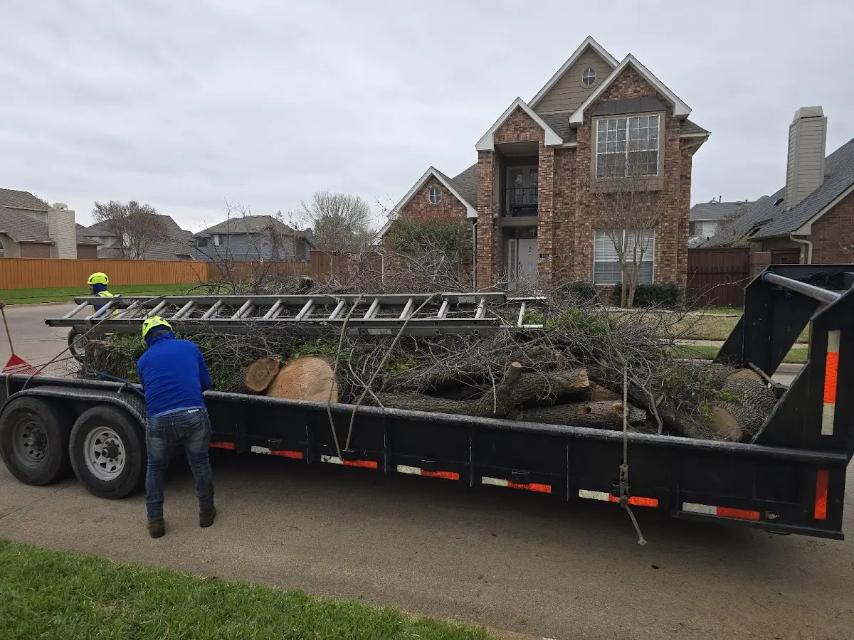 Expert Tree Removal with proper safety equipment in Stockville